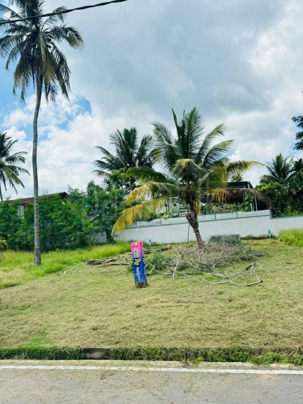 Residential Land for Sale in Mawathagama