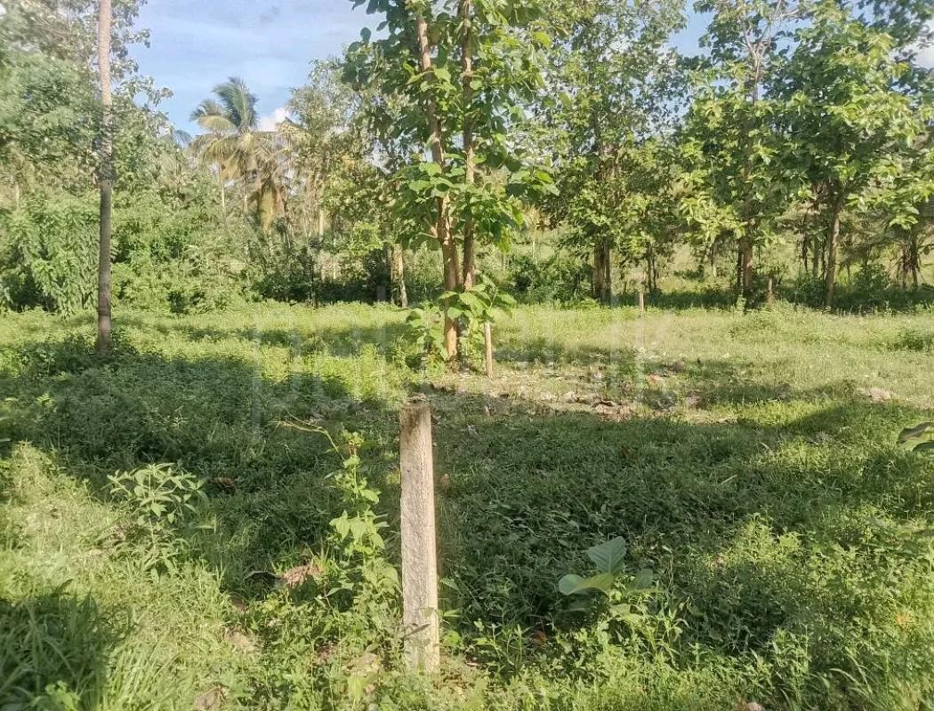 Agricultural Land for Sale in Maho