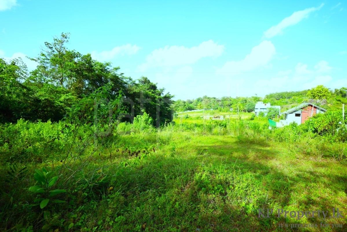 premium-listing-image