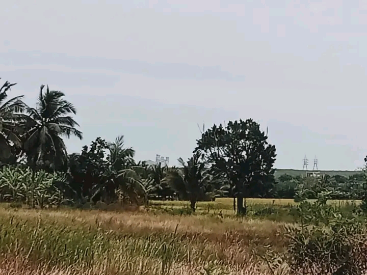 Commercial Land for Sale in Hambantota