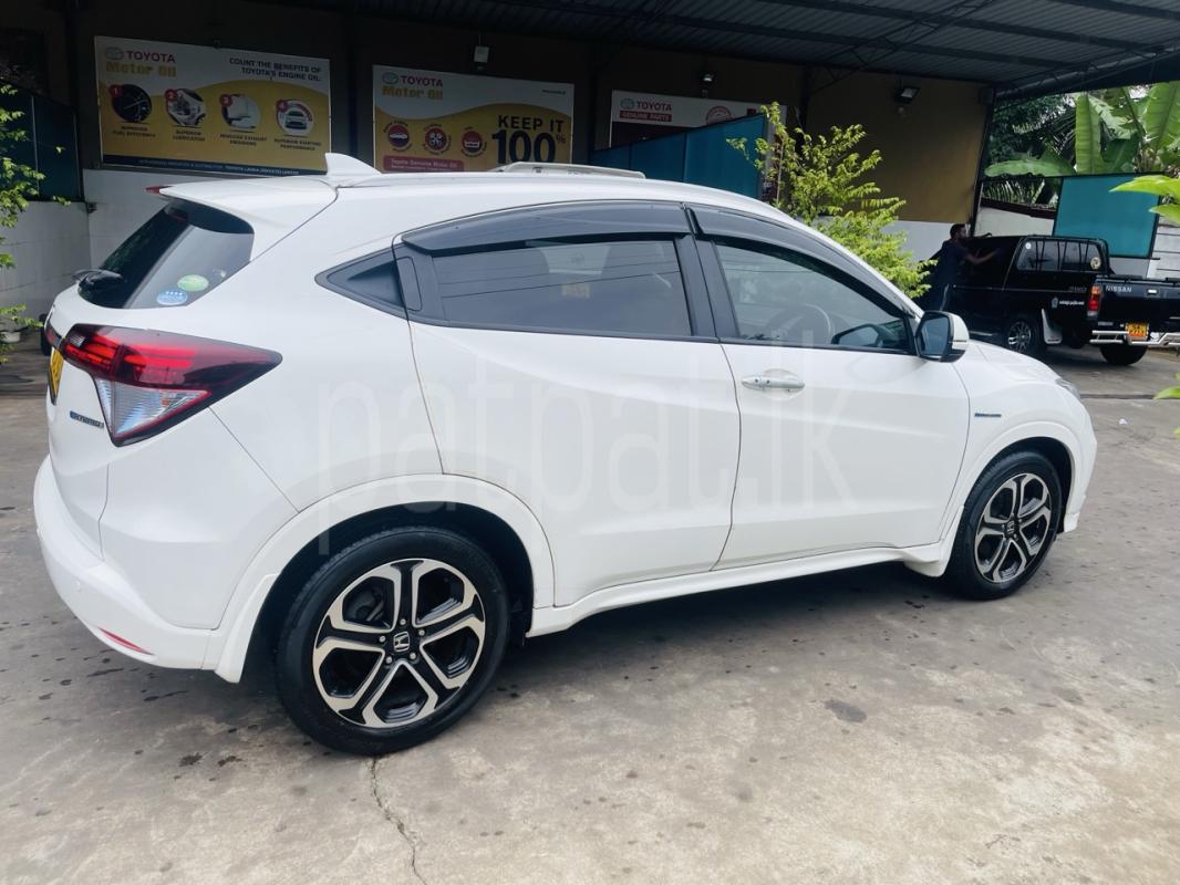 Advertisement image 3