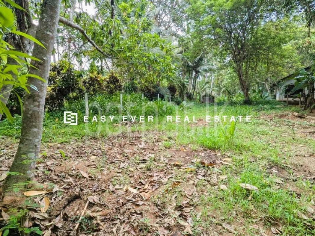 Residential Land for Sale in Veyangoda