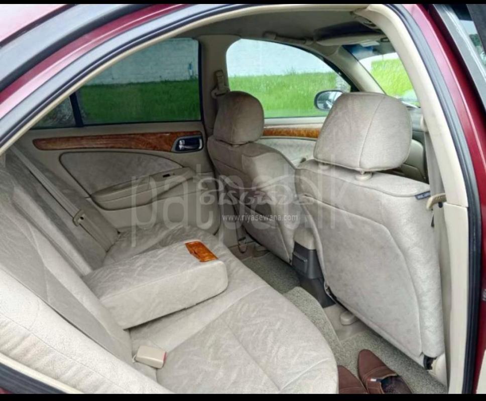 Advertisement image 3