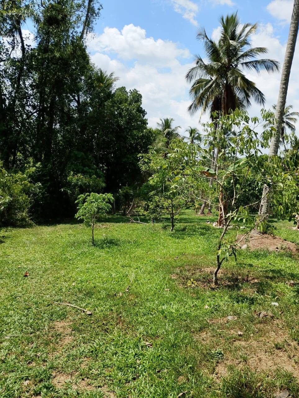 Commercial Land for Sale in Yakkala