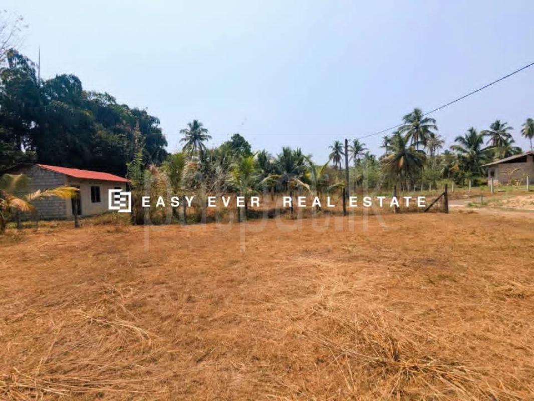 Residential Land for Sale in Mirigama