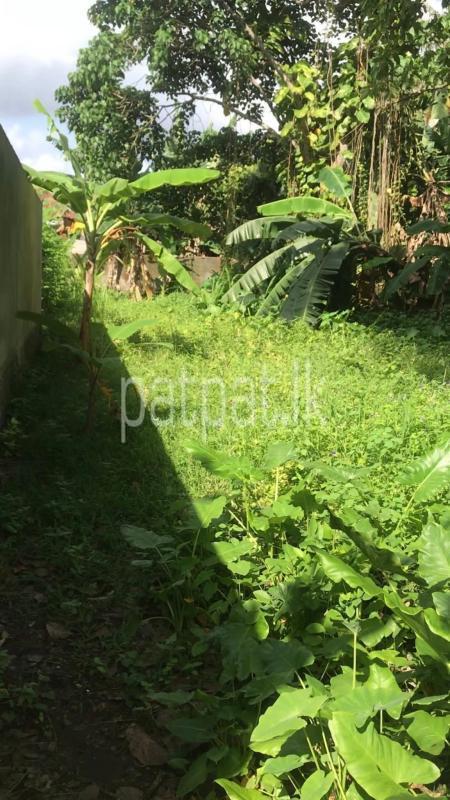 Commercial Land for Sale in Unawatuna