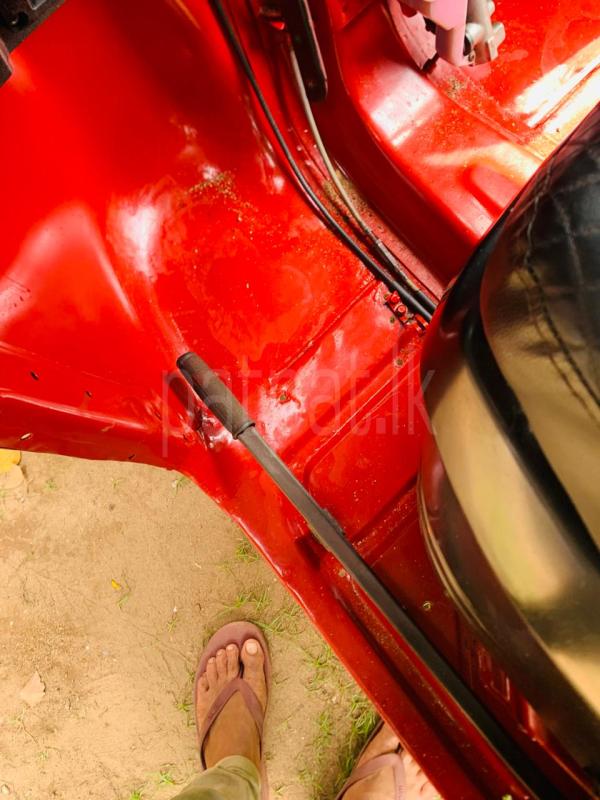 Advertisement image 3