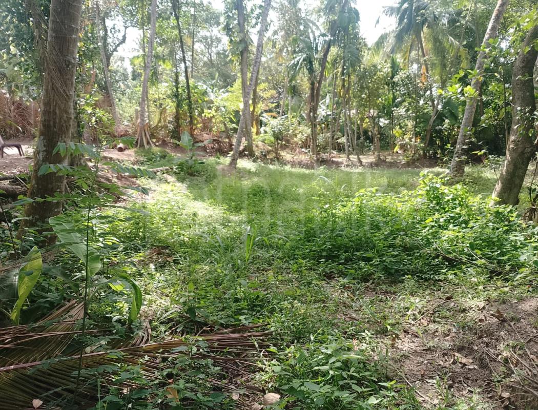 Residential Land for Sale in Wattala
