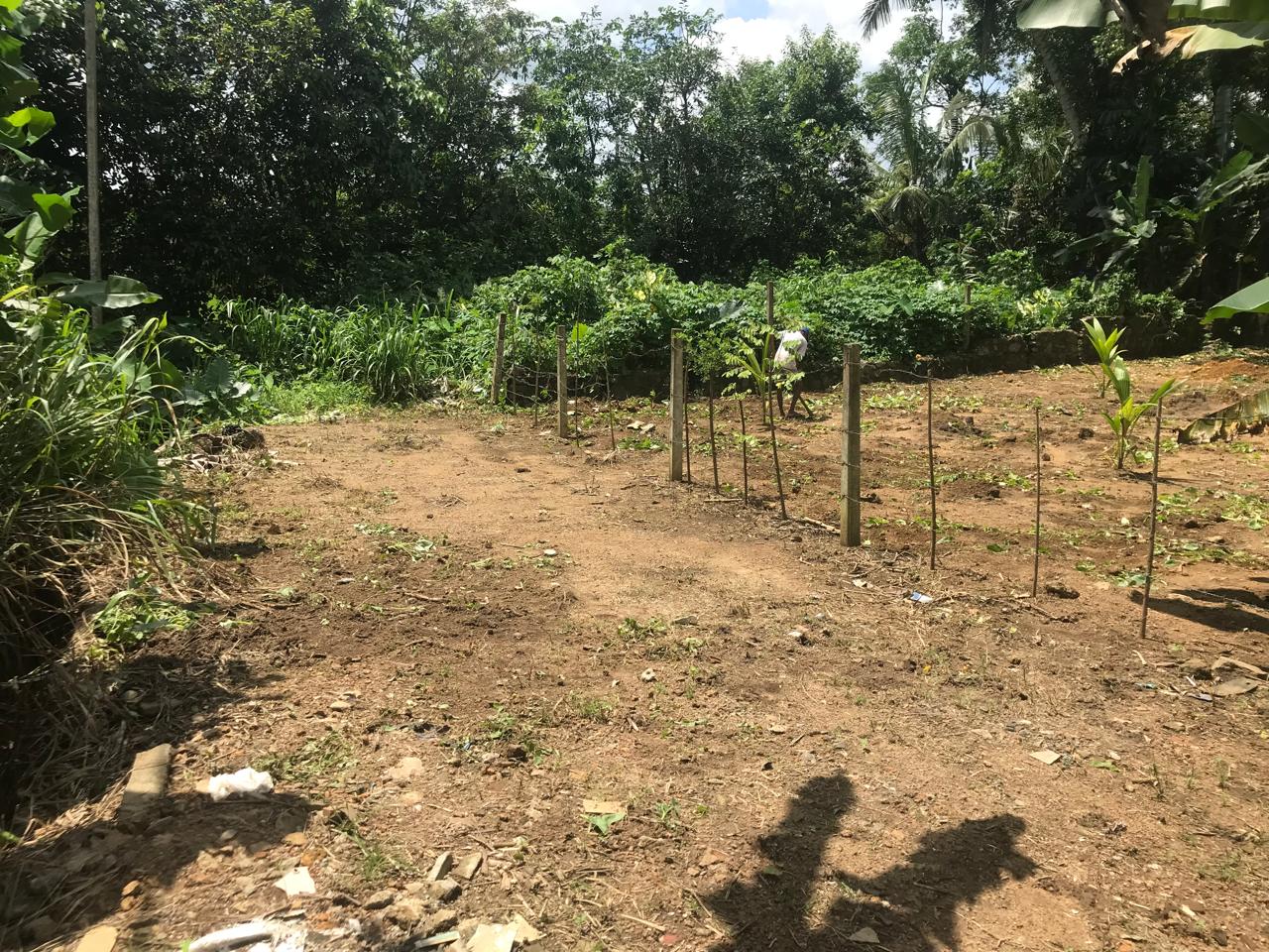 Residential Land for Sale in Padukka