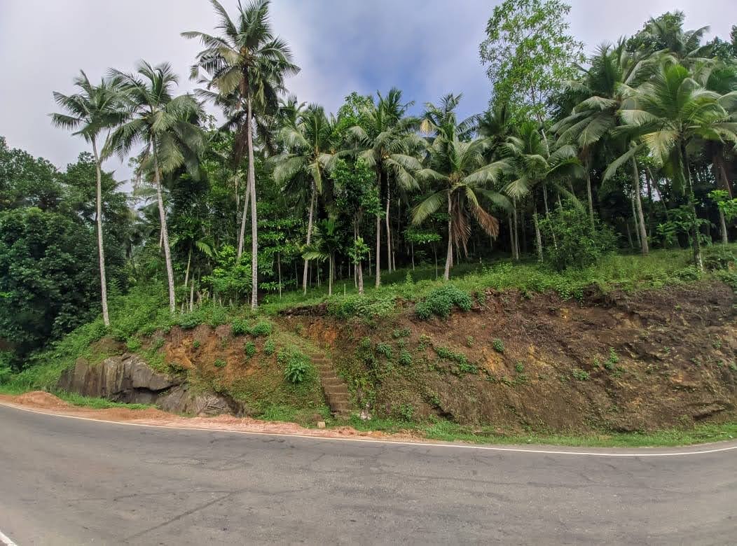 Commercial Land for Sale in Avissawella