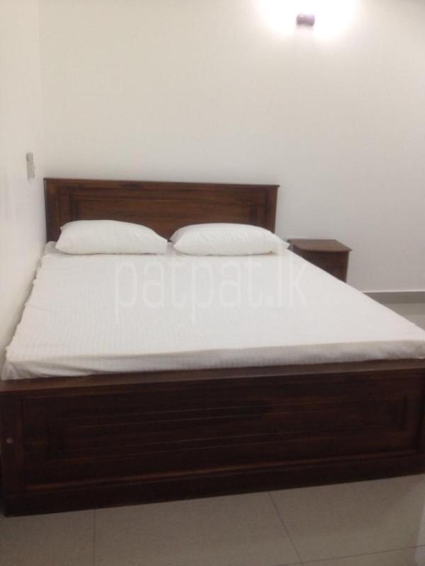 Furnished Apartment for Rent in Dehiwala ads-image-1