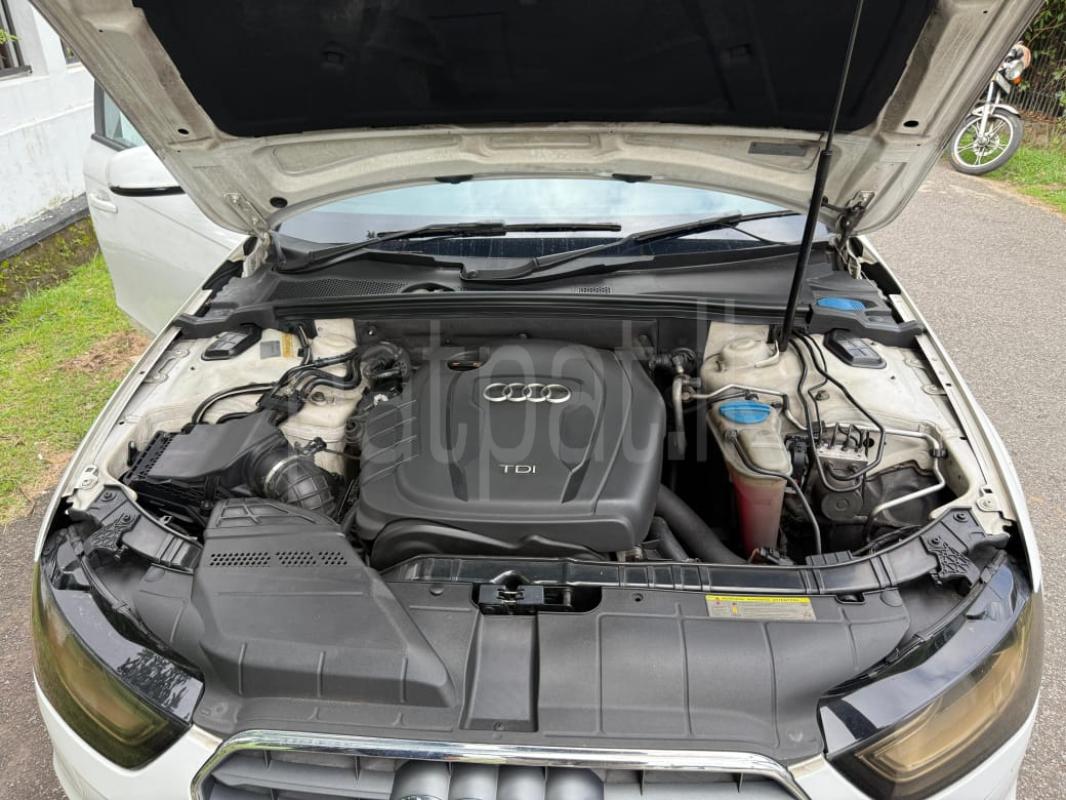 Advertisement image 6