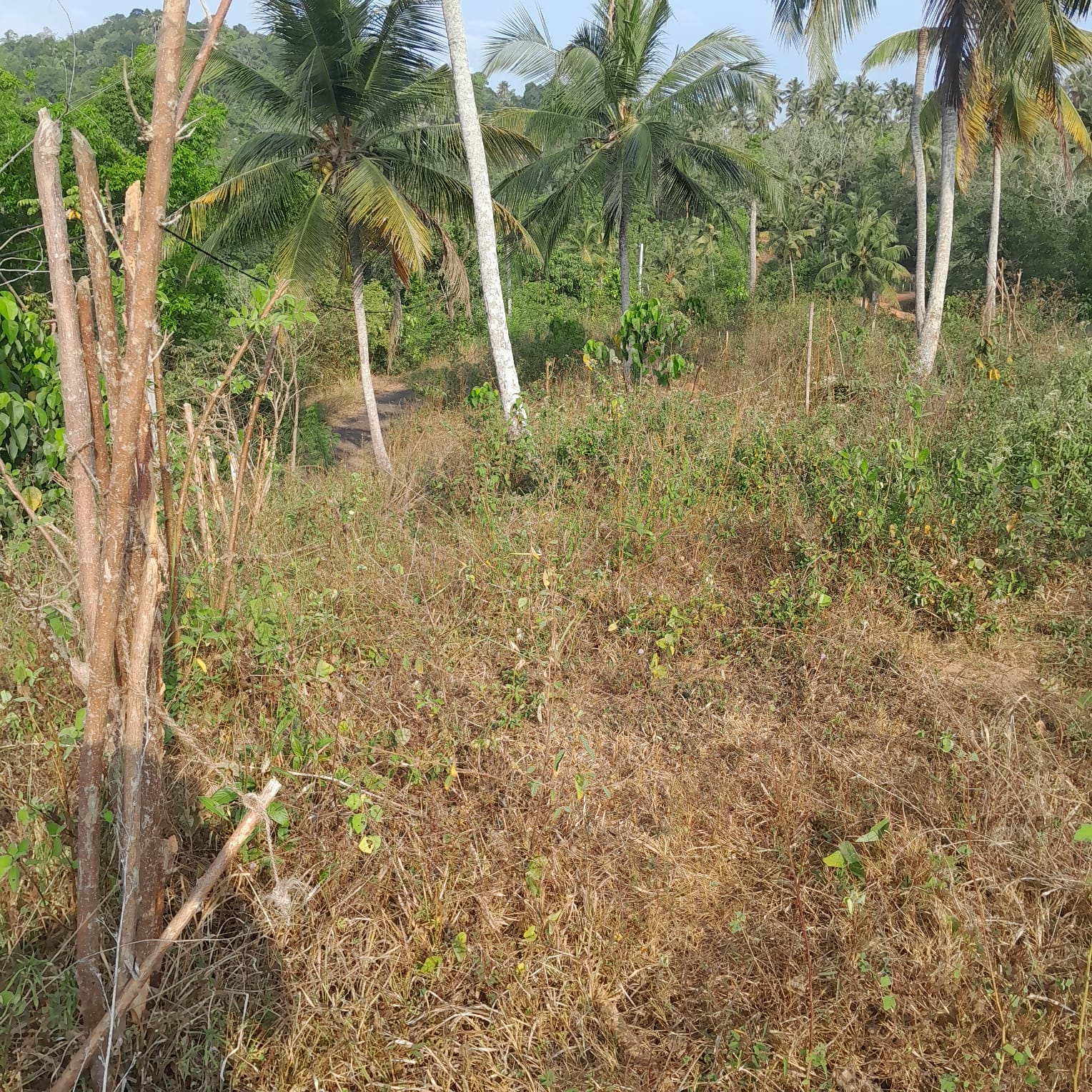 Residential Land for Sale in Kekanadurra