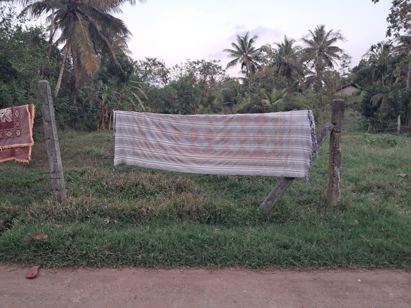 Residential Land for Sale in Hettipola