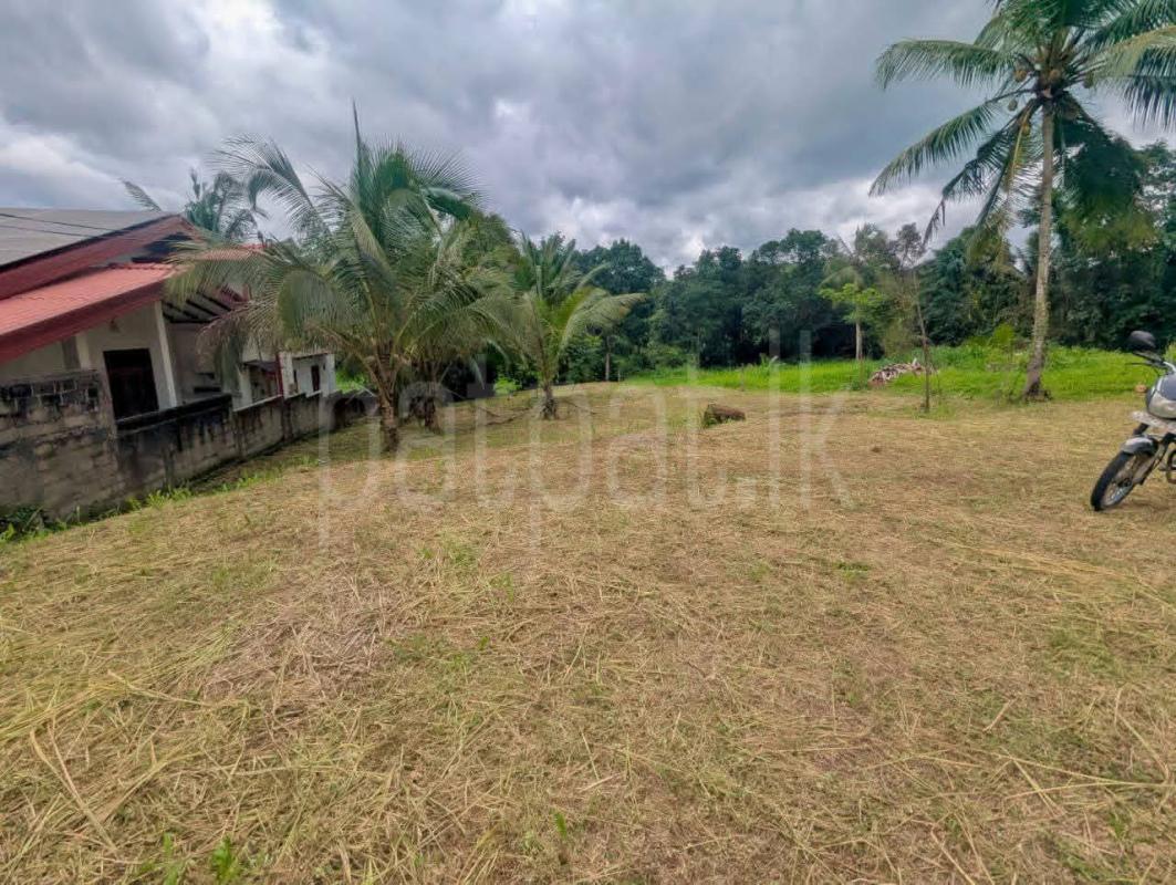 Residential Land for Sale in Veyangoda