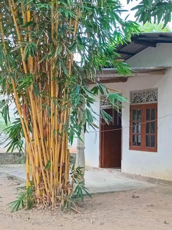 House for Sale in Kuliyapitiya ads-image-1