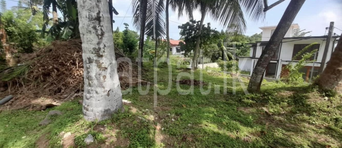 Commercial Land for Sale in Wanchawela