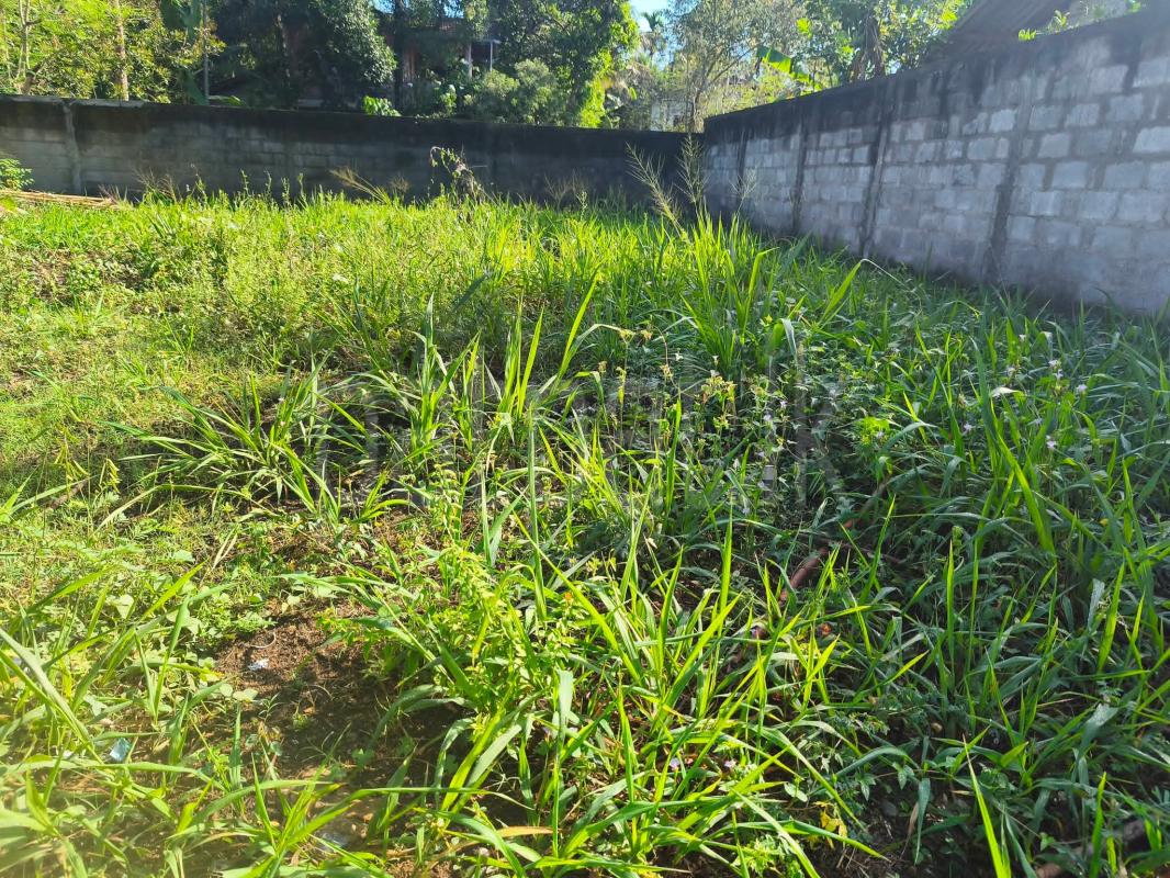Agricultural Land for Sale in Kadawatha