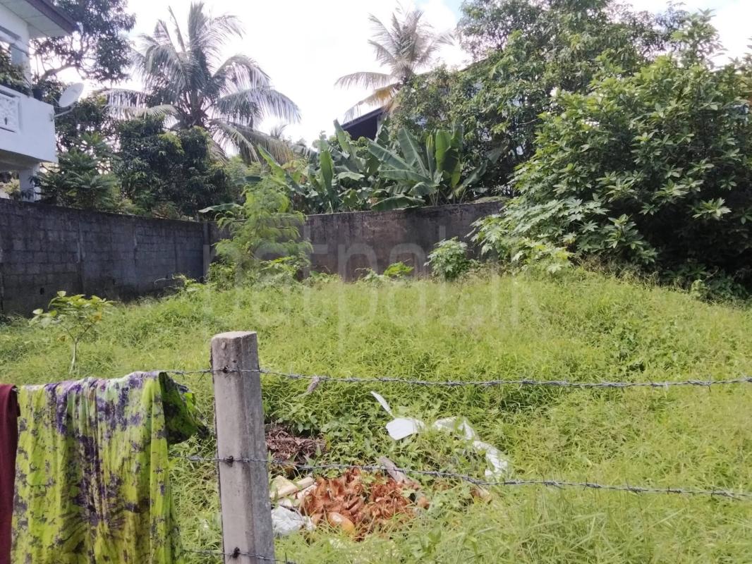 Residential Land for Sale in Kirulapone