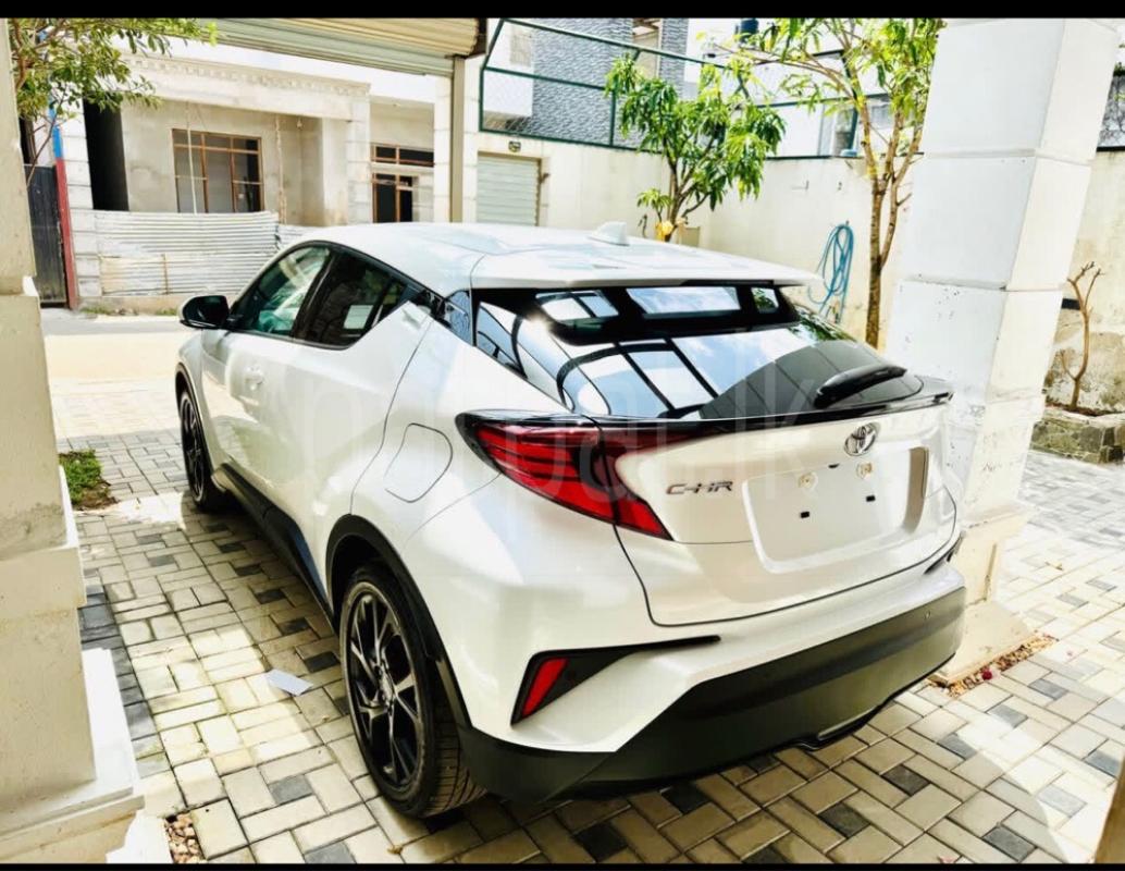 Advertisement image 2