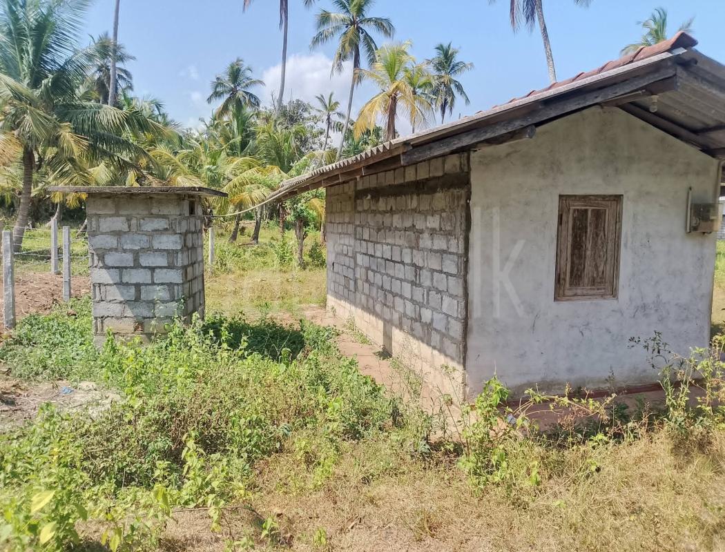 Agricultural Land for Sale in Kurunegala