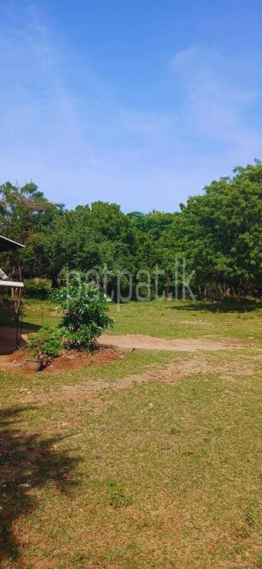 Residential Land for Sale in Kataragama