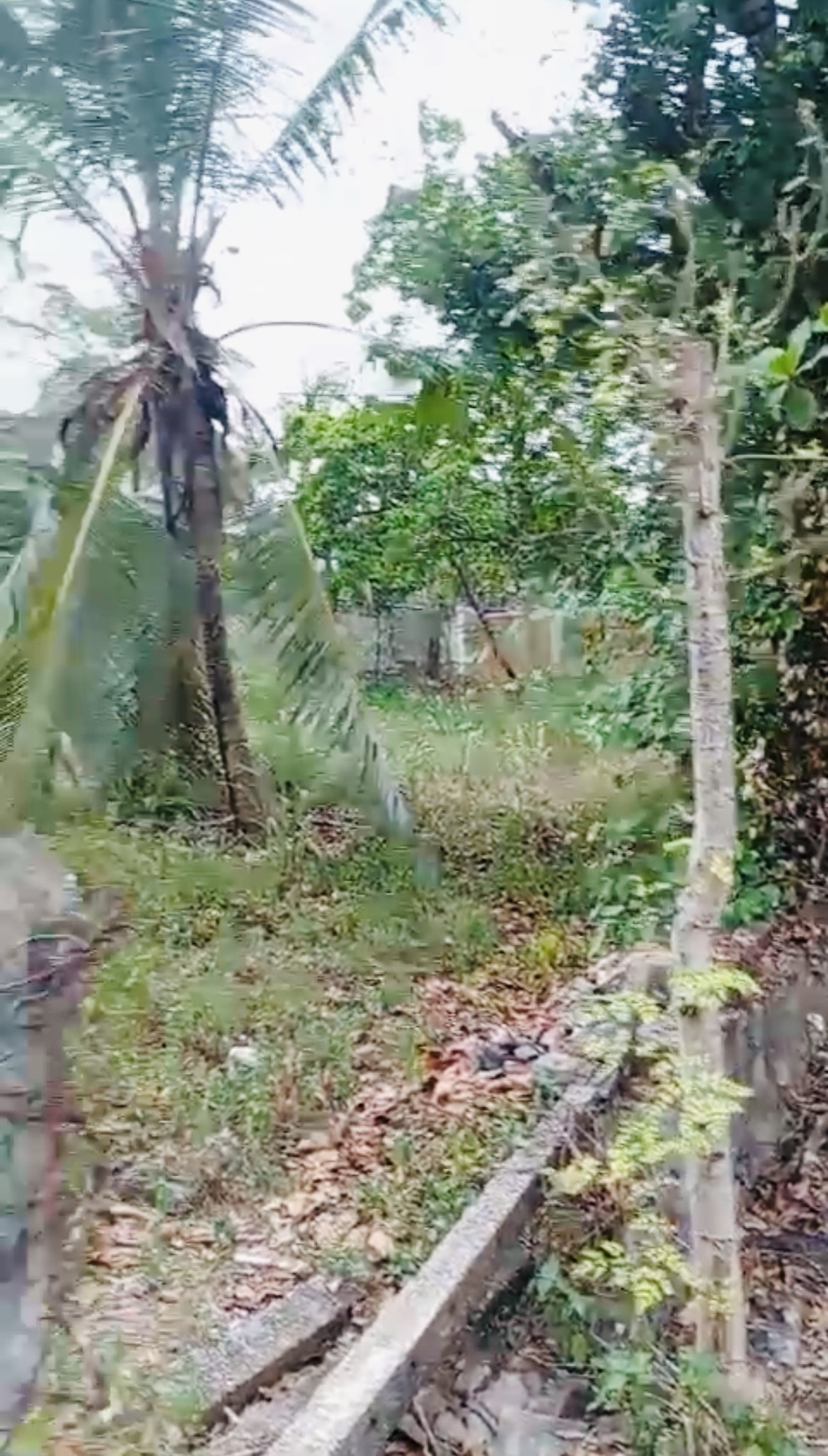 Residential Land for Sale in Pannipitiya