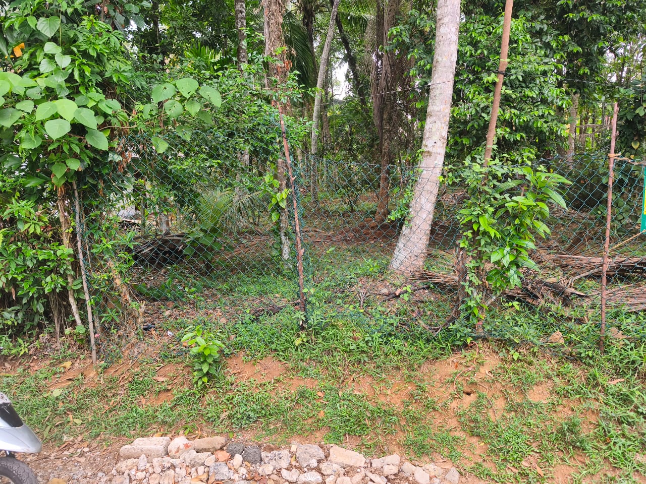 Residential Land for Sale in Kadawatha ads-image-1