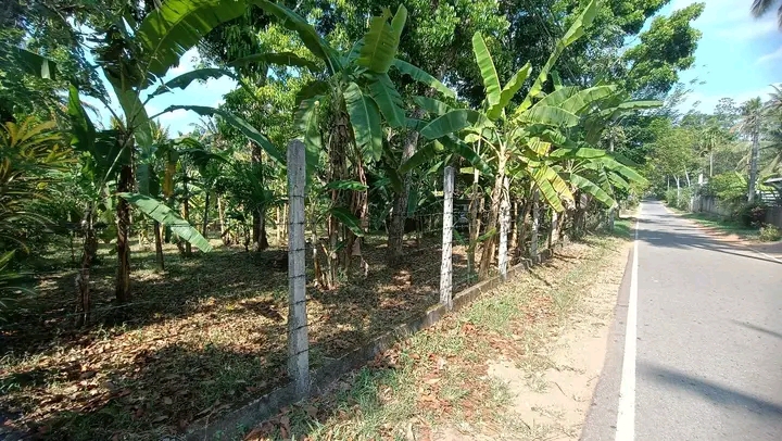 Commercial Land for Sale in Mawathagama