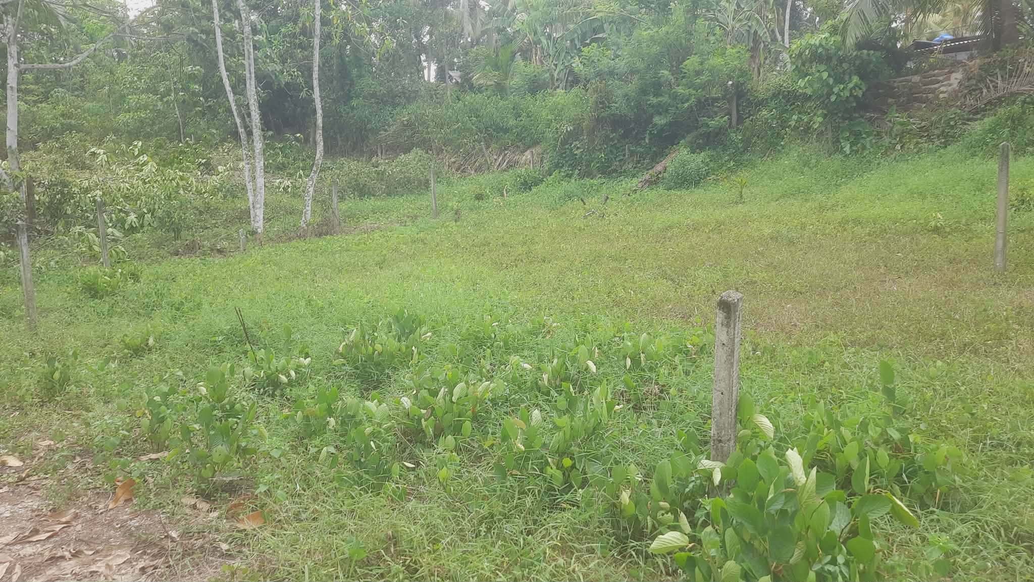 Residential Land for Sale in Homagama