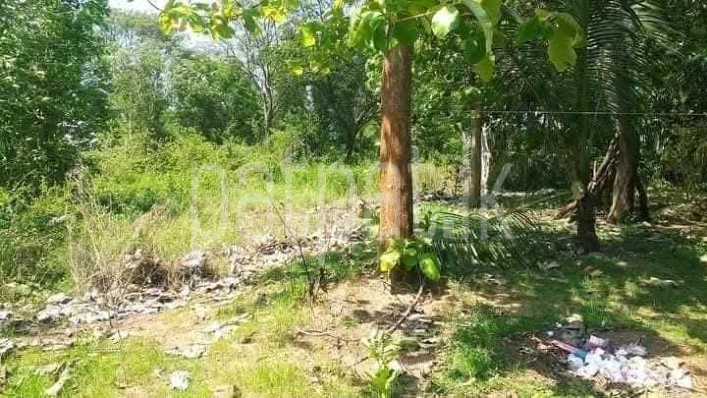 Residential Land for Sale in Kataragama