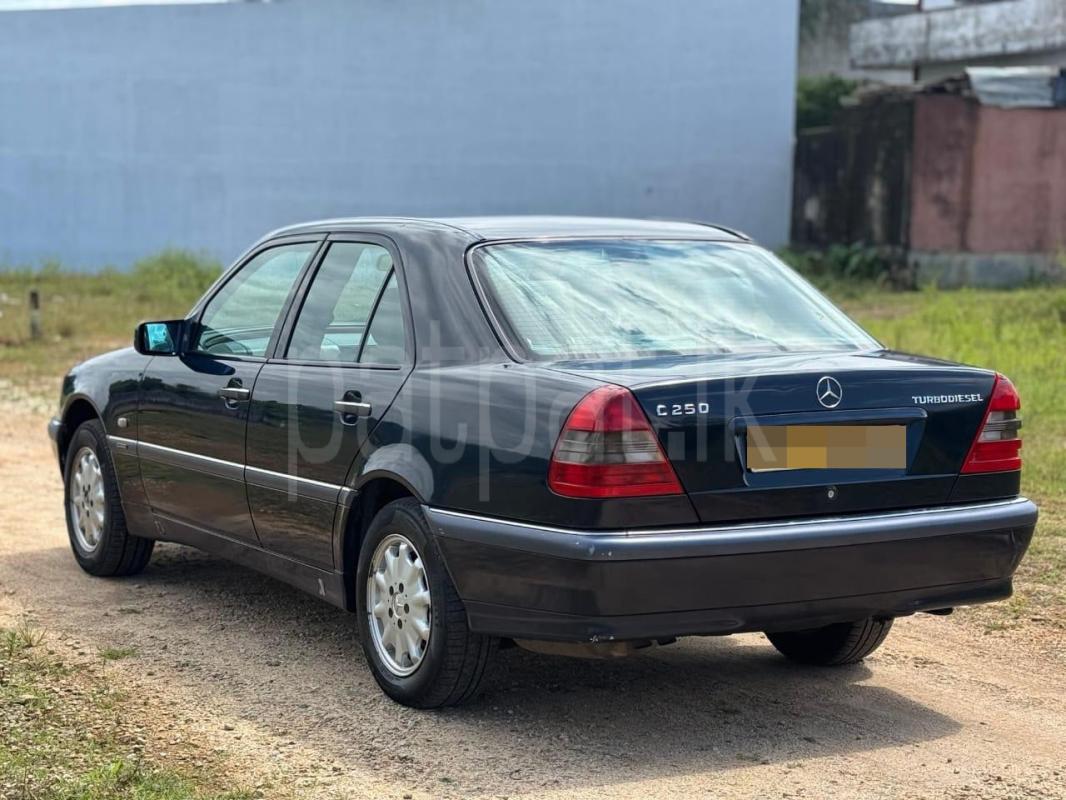 Advertisement image 6