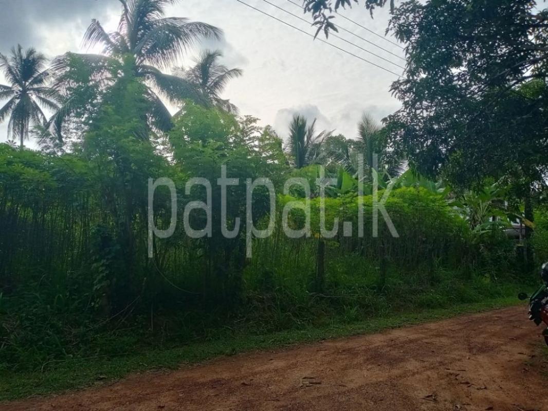 Agricultural Land for Sale in Nittambuwa ads-image-1