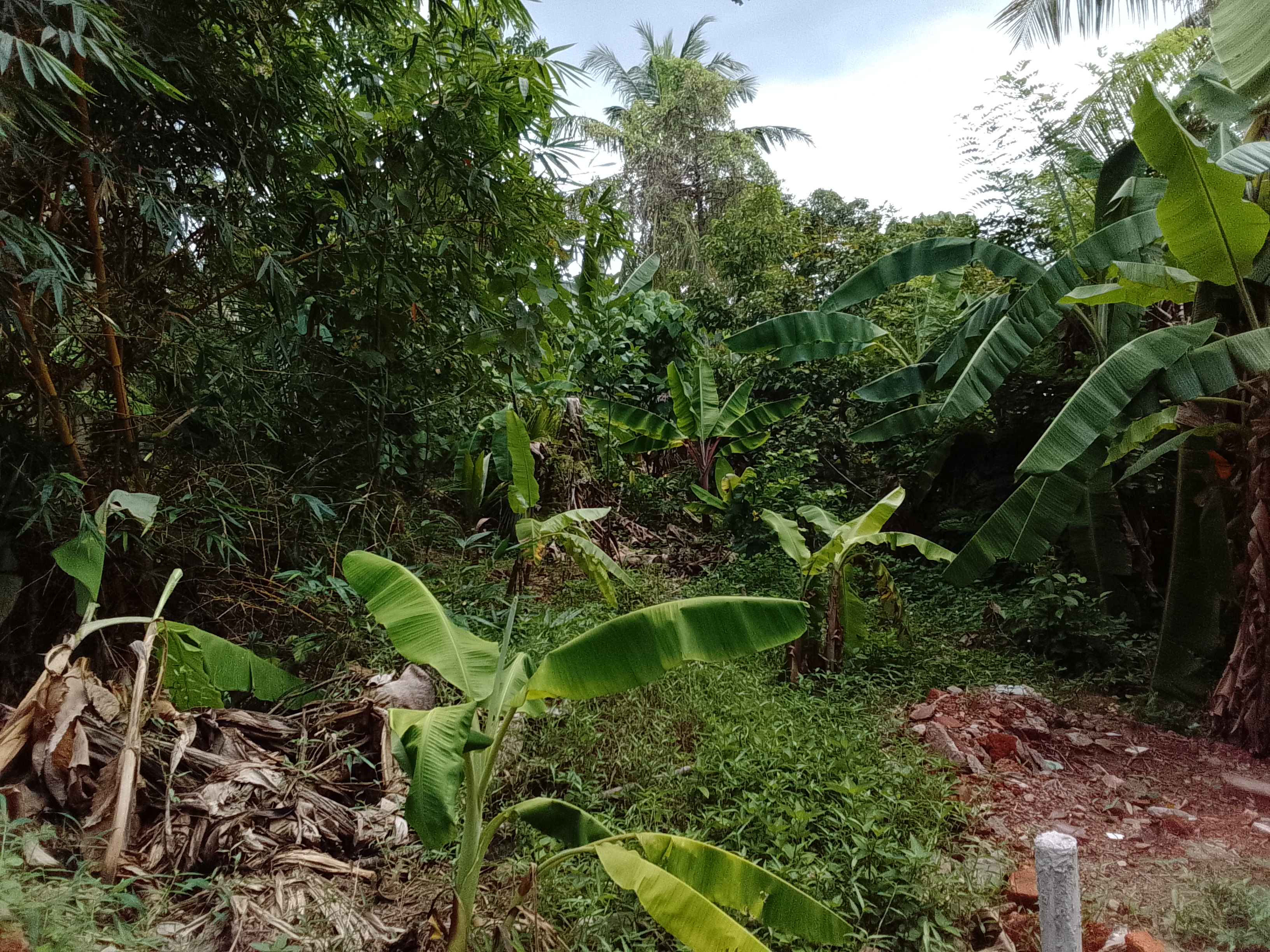Residential Land for Sale in Kelaniya