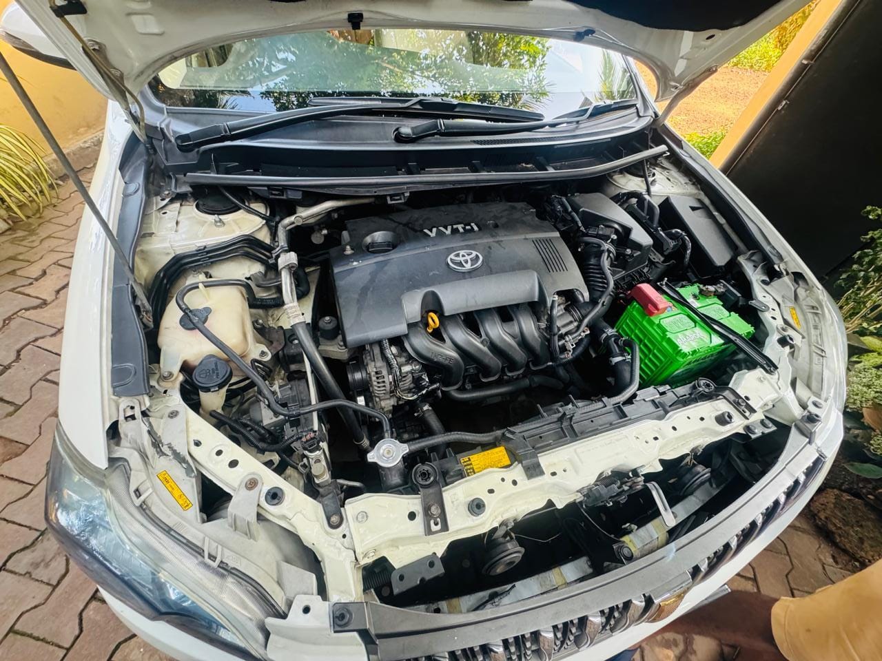 Advertisement image 1