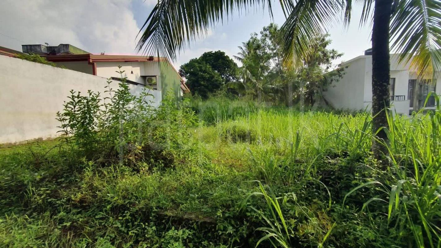 Residential Land for Sale in Malabe