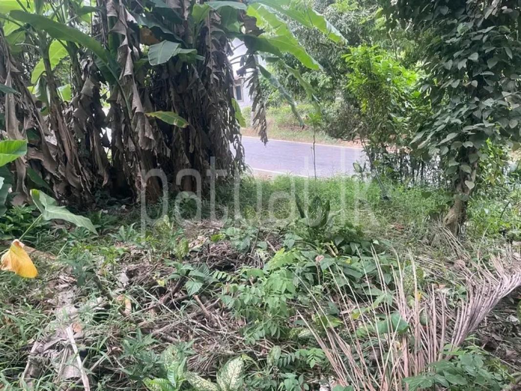 Commercial Land for Sale in Homagama