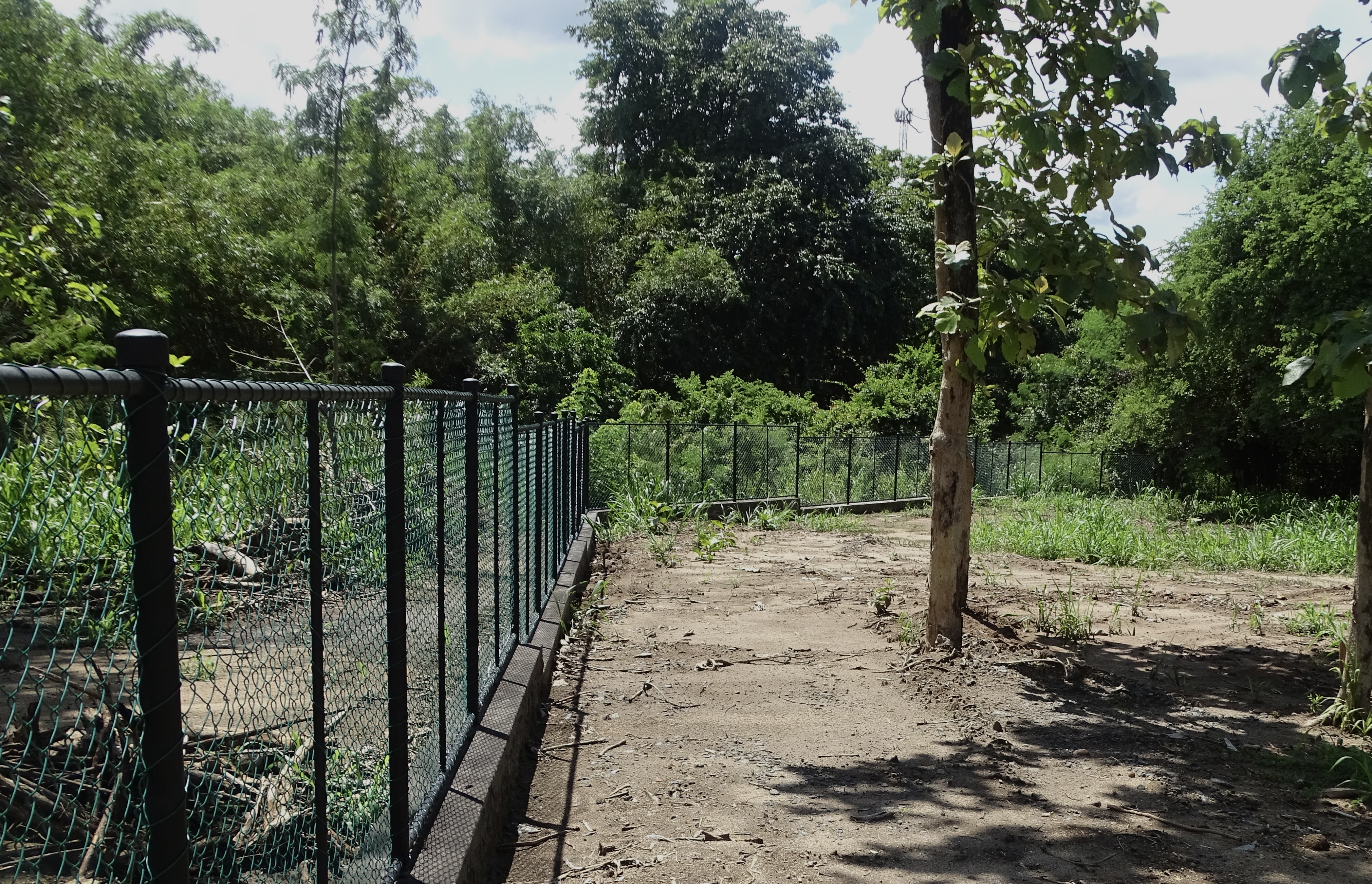 Residential Land for Sale in Dambulla