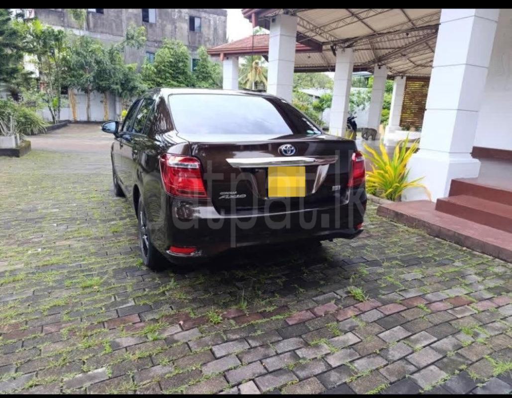 Advertisement image 2