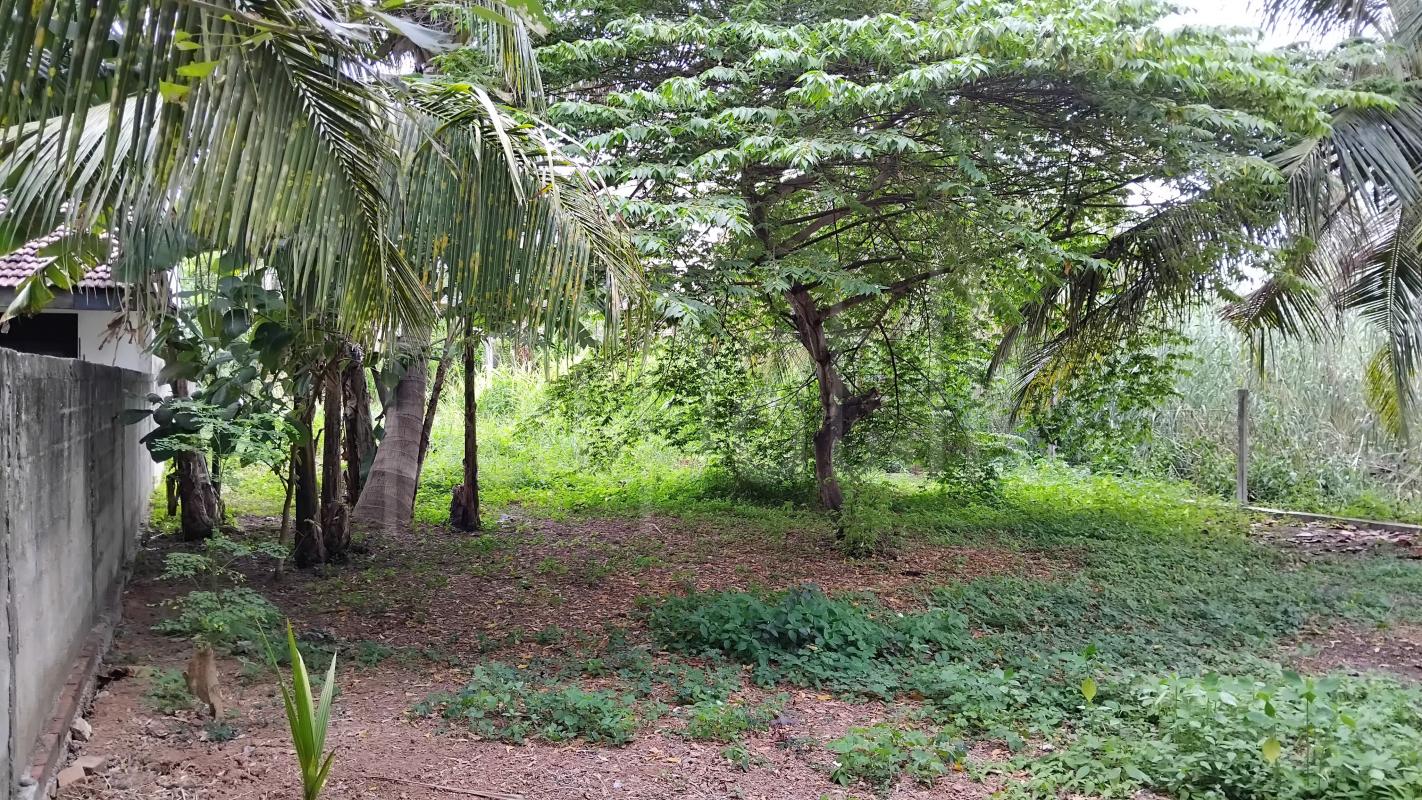 Residential Land for Sale in Negombo