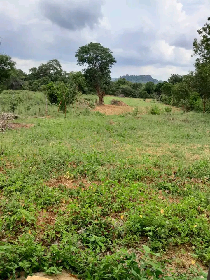Commercial Land for Sale in Kataragama
