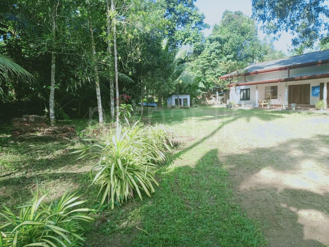 Residential Land for Sale in Gampaha