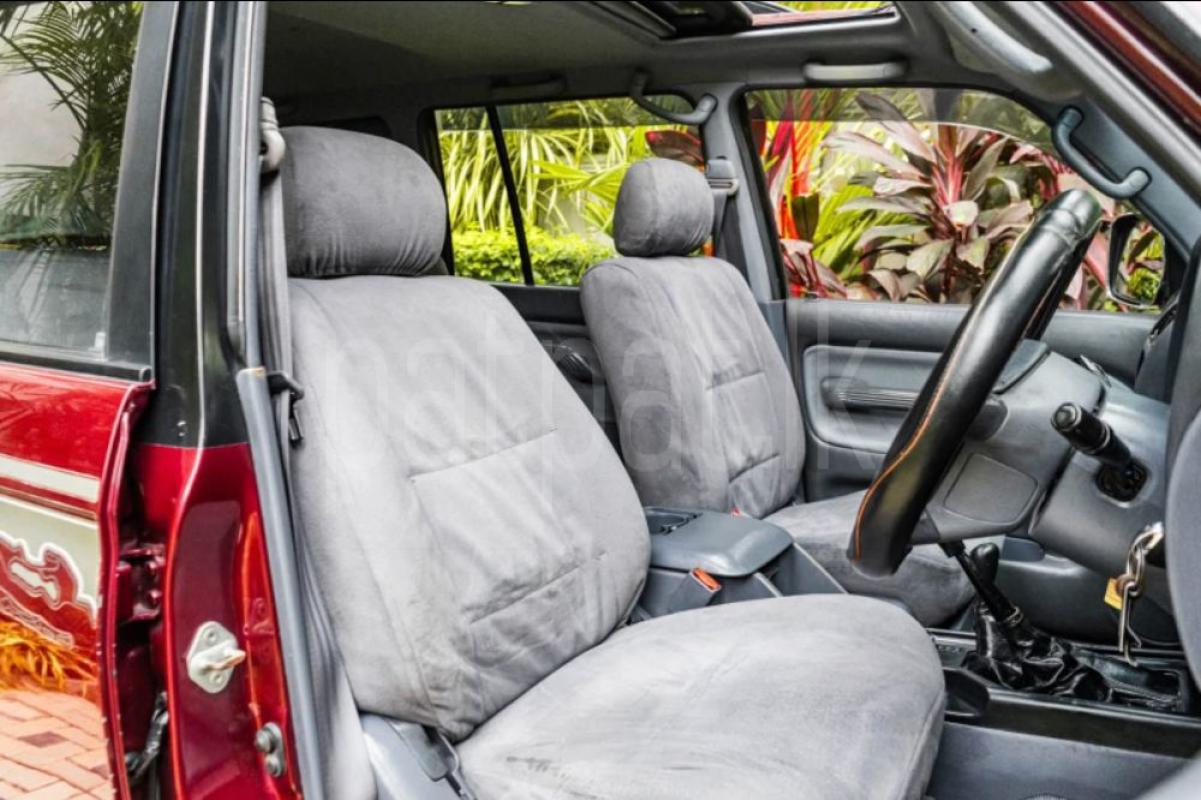 Advertisement image 3