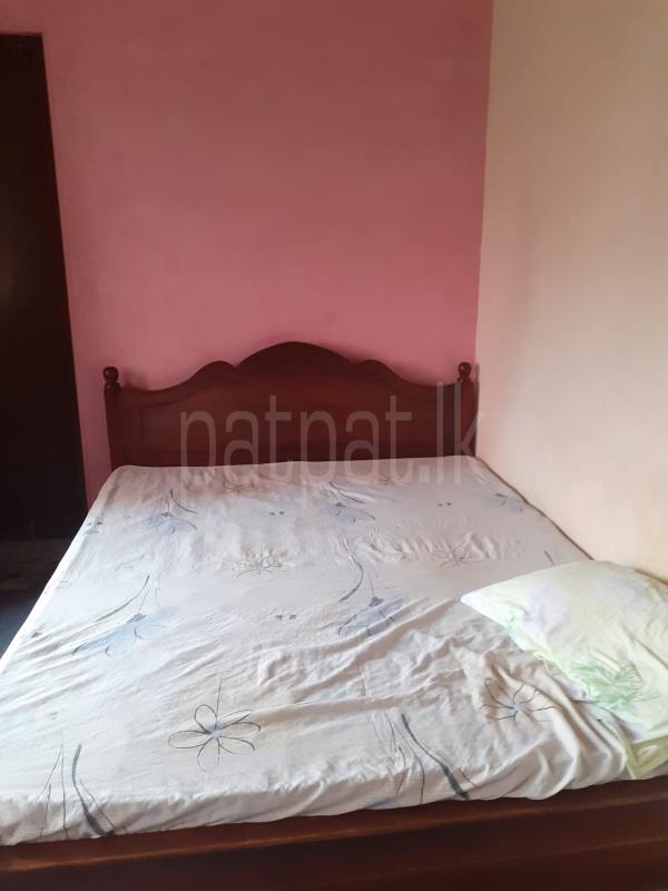Teak wood queen sized bed