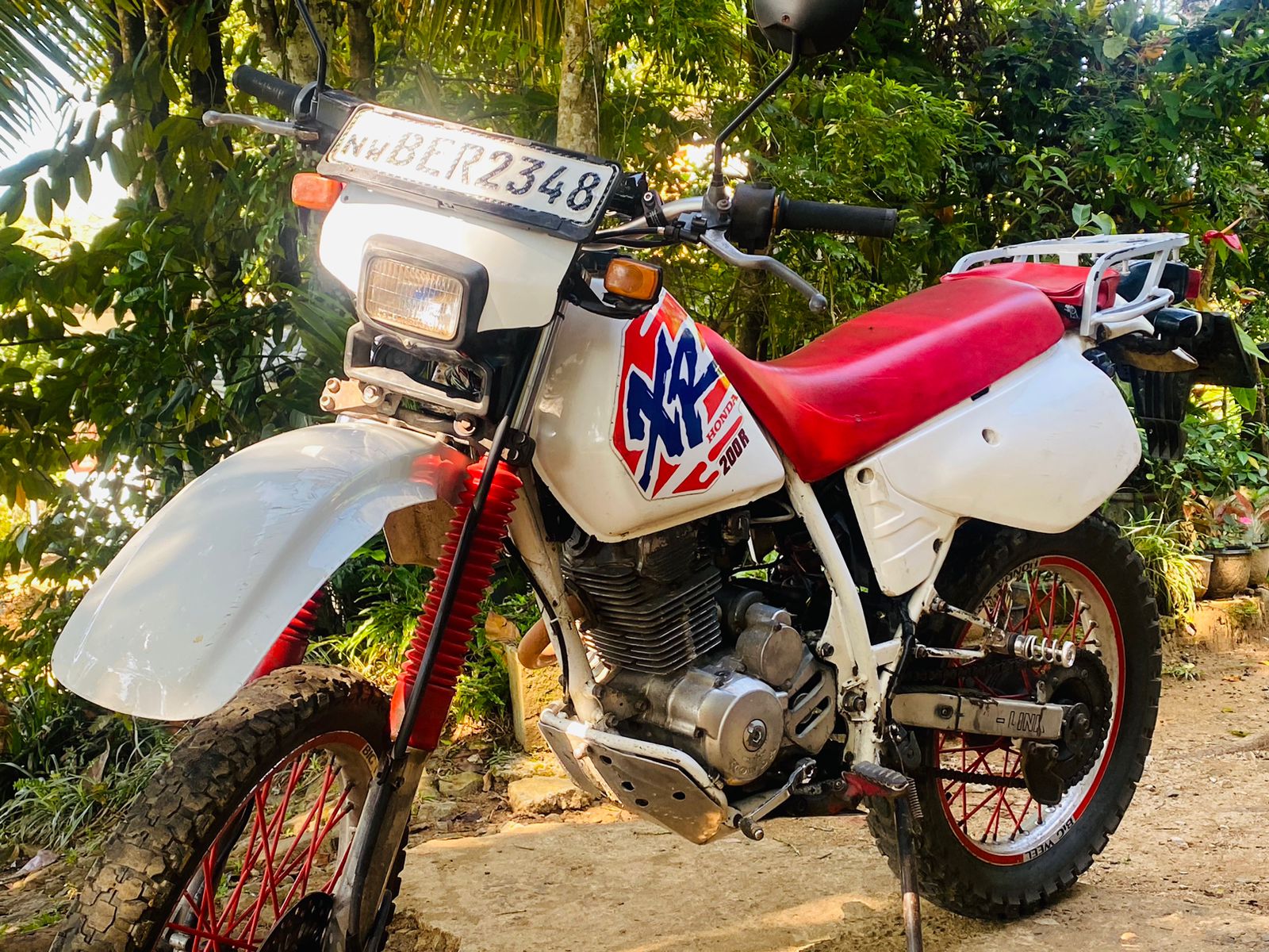 Advertisement image 5