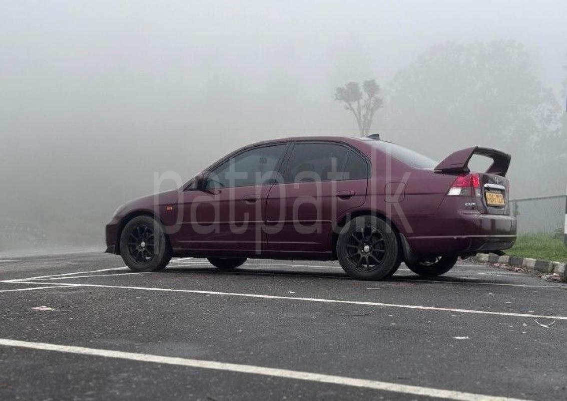 Advertisement image 4