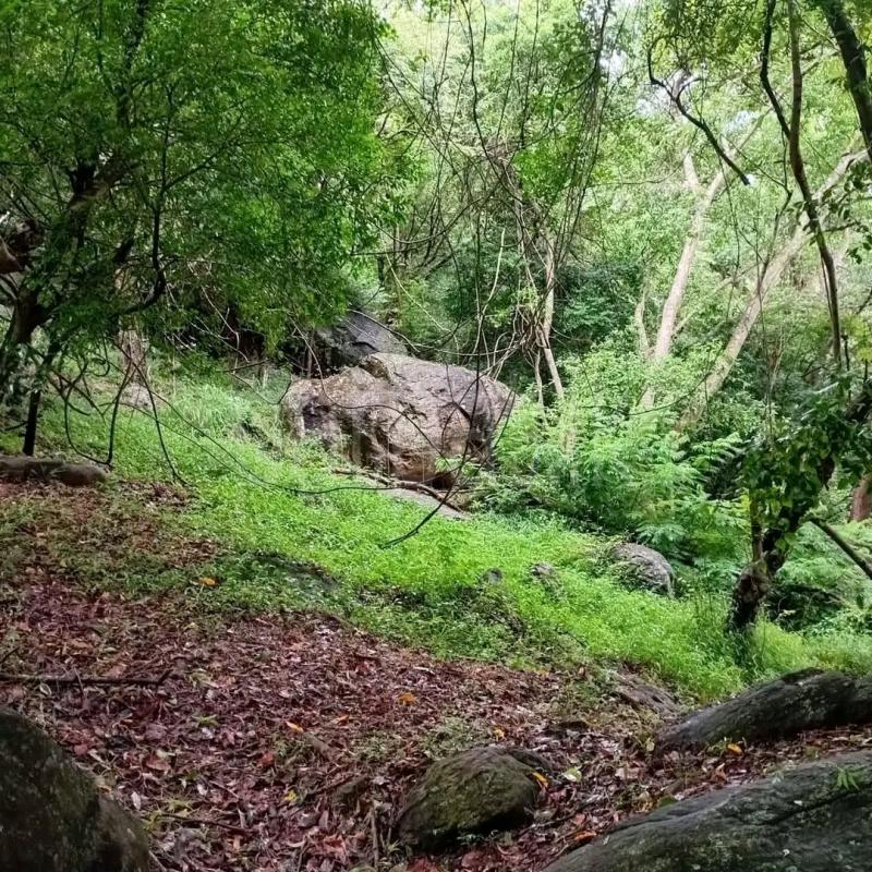 Agricultural Land for Sale in Rambukkana