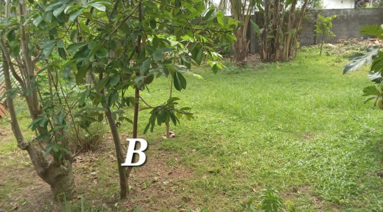 Agricultural Land for Sale in Kohuwala