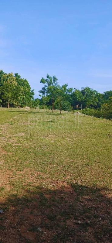 Residential Land for Sale in Kataragama