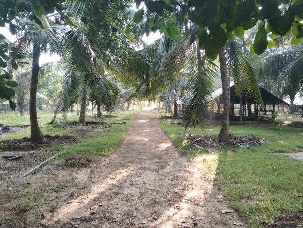 Agricultural Land for Sale in Puttalam